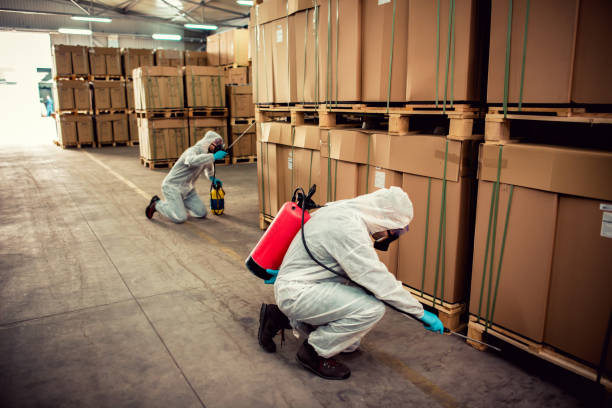 Best Wasp Removal Services  in Picnic Point, WA