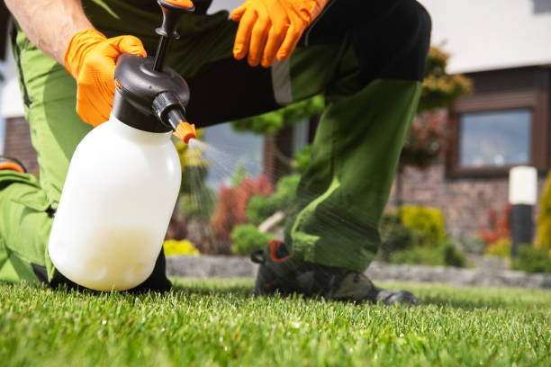 Best Mosquito Control Services  in Picnic Point, WA
