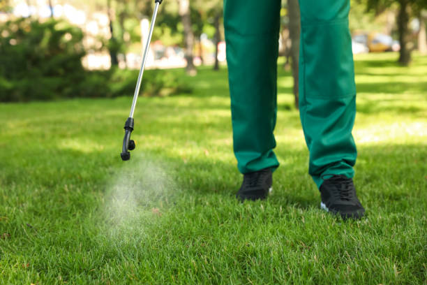 Best Pest Control for Businesses  in Picnic Point, WA