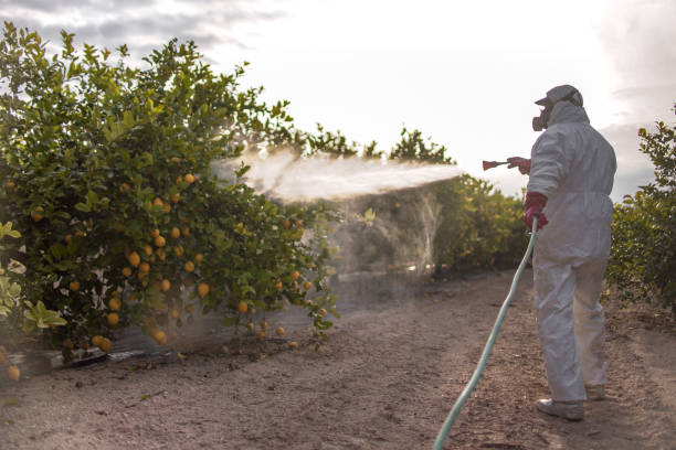  Picnic Point, WA Pest Control Pros