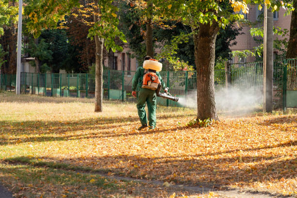 Best Residential Pest Control  in Picnic Point, WA